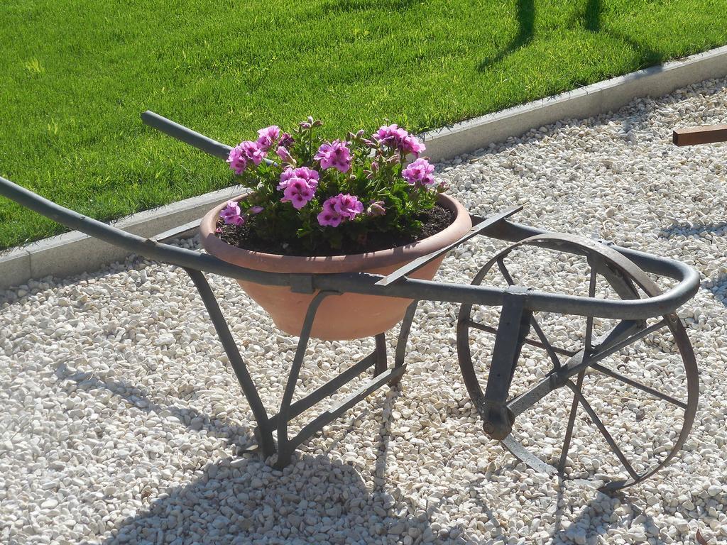B&B La Casetta Dei Nonni Орв'єто Екстер'єр фото